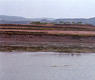 Embalse de la Nava (Cintruénigo)