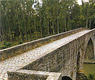 Puente de la Magdalena. Pamplona