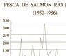 Pesca de salmón Río Bidasoa
