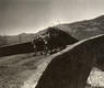 Transporte (ca. 1920). Carro de bueyes