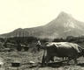 Agricultor faenando con un trillo de bueyes (ca. 1920)