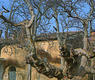 Viana. Ermita de la Virgen de las Cuevas