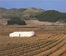 Barbarin. Ermita de San Jorge