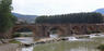 Cáseda. Puente sobre el Río Aragón