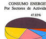 Consumo energético. Por sectores de actividad (1981)