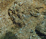 Esquistos arenosos del Ordoviciense Silurano ()