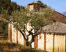 Estella. Iglesia de Santa María 