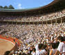 Sanfermines (Pamplona)