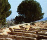 Alto de la Cruz (Cortes). Excavaciones.