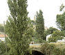 Río Linares
