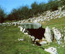 Dolmen de Arrako