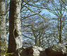 Dolmen de Erregeneko Debata III