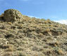 Castillo y torre de Miranda de Arga